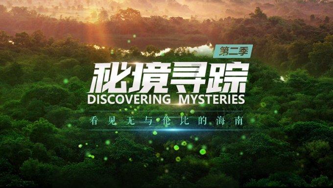 我修的可能是假仙